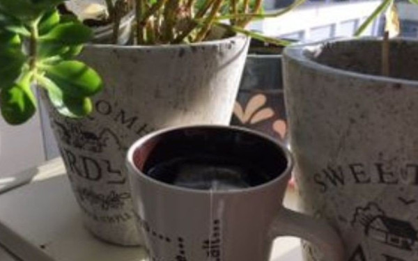 Ποια η σχέση ανάμεσα στο φακελάκι τσαγιού και τα μικροπλαστικά σωματίδια;