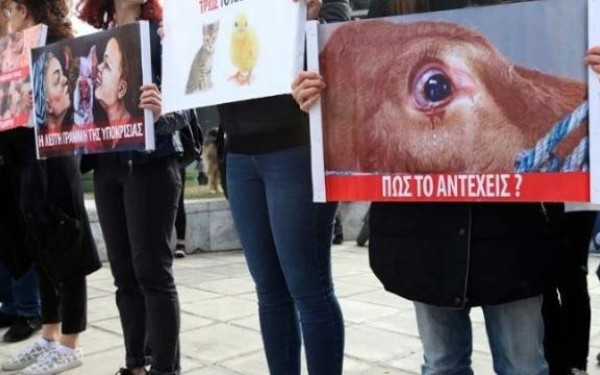Υψηλά τα ποσοστά κακοποίησης ζώων στην Ελλάδα