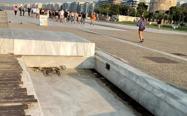 SOS εκπέμπει η Νέα Παραλία Θεσσαλονίκης 