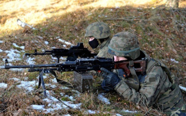 Αύξηση του εξτρεμισμού στον αμερικανικό στρατό αναφέρει ανώτερος αξιωματούχος