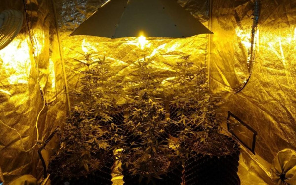 Εργαστήρι υδροπονικής κάνναβης σε σπίτι λιμενικού