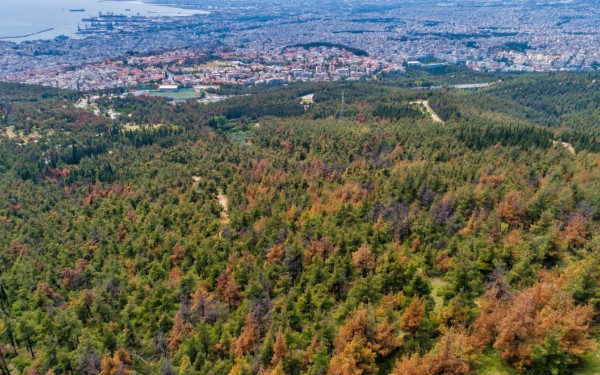 Καιρός: Εκρηκτικό κοκτέιλ με μελτέμια και 40άρια - Δύσκολο 48ωρο για εκδήλωση πυρκαγιών