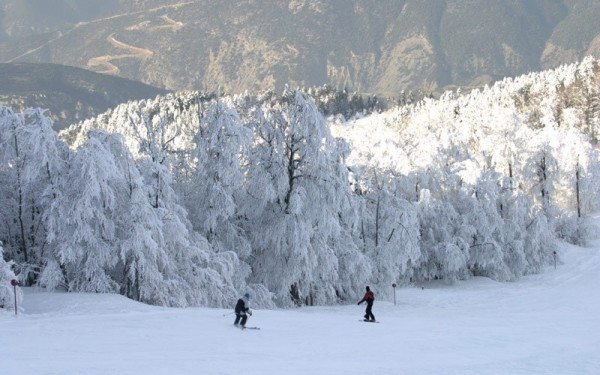 Άλπεις: Σκοτώθηκε σκιέρ που παρασύρθηκε από χιονοστιβάδα - Είχε βγει εκτός πίστας
