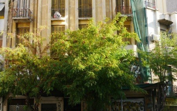 Θεσσαλονίκη: Επέμβαση της αστυνομίας και επεισόδια στην ανακατάληψη της Terra Incognita (βίντεο)