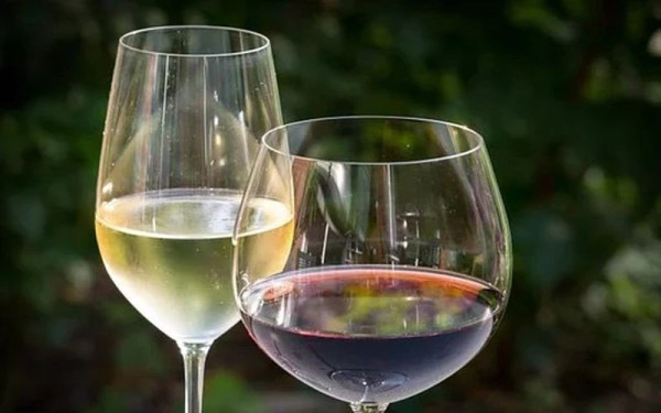 Η μικρή κατανάλωση κρασιού μπορεί να μειώσει τον κίνδυνο καρδιαγγειακής νόσου