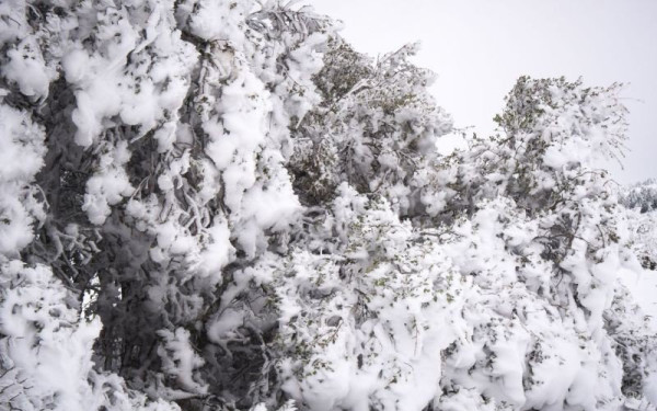 Νύχτα αγωνίας για παρέα νεαρών που απεγκλωβίστηκαν από την ΕΜΑΚ στην Πάτρα