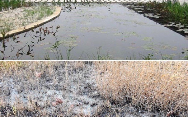 Ο Κήπος του Νερού στην Νέα Παραλία μετατράπηκε σε... κήπο με λάσπη 