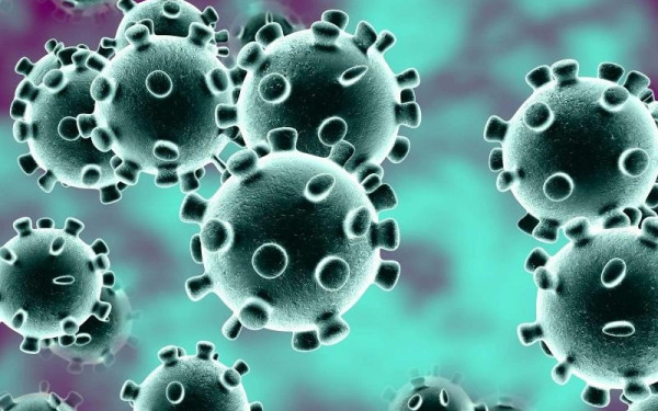 Δότες μυελού των οστών που αψήφησαν τον κορονοϊό 