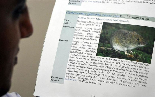 Χανταϊός: Σπέρνουν τον πανικό με "ξεχασμένο" ιό στην Κίνα