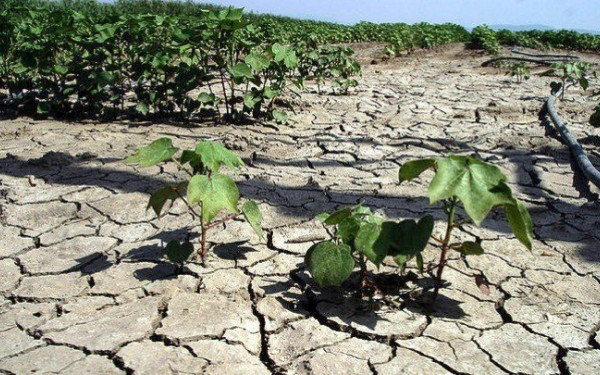 Τυνησία: Περιορισμοί στη χρήση πόσιμου νερού λόγω ξηρασίας