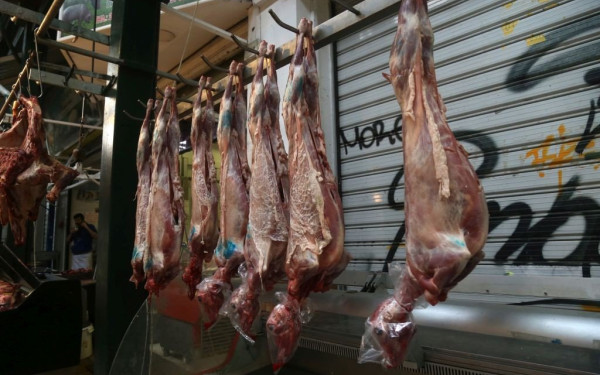 Εξαρθρώθηκε παράνομο κύκλωμα που έσφαζε... εικονικά αρνιά και κατσίκια στη Μακεδονία