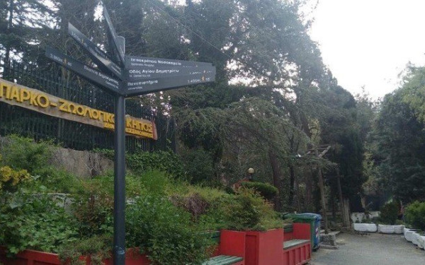 Θεσσαλονίκη: Αναστέλλεται προσωρινά η λειτουργία του Ζωολογικού Κήπου μετά από θετικό κρούσμα βρουκέλλωσης σε κριό