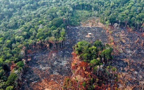 SOS για τον Αμαζόνιο: «Ακρωτηριάστηκε» δασική έκταση όσο η Ισπανία – Πιο κοντά από ποτέ στο σημείο μη επιστροφής