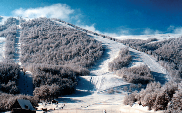 Δήμος Νάουσας προς δημότες: Αποφύγετε τις άσκοπες μετακινήσεις