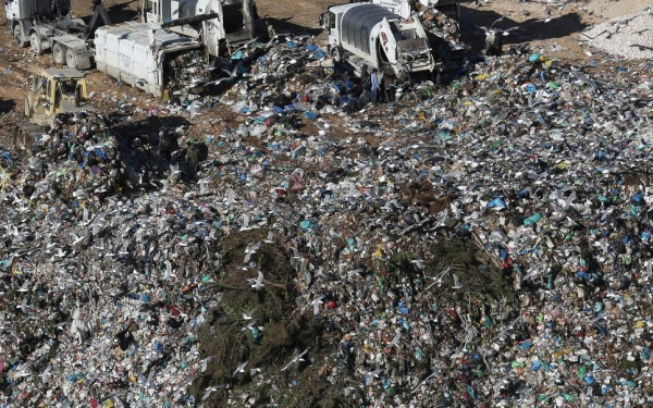 Χαλκιδική: Τα σκουλήκια από τα μύδια «κάνουν πάρτυ» σε παράνομη χωματερή στην Ολυμπιάδα