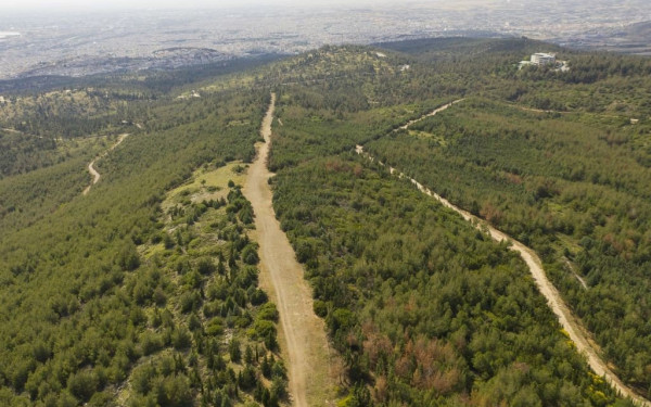 Θεσσαλονίκη: Παράταση απαγόρευσης της κυκλοφορίας στο Σέιχ Σου