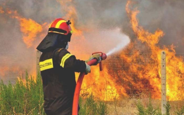 Σε εξέλιξη πυρκαγιά σε δασική έκταση στη Βοιωτία