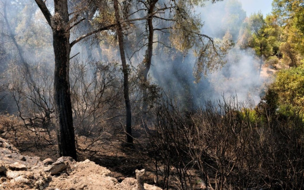 Η τεχνητή νοημοσύνη στη μάχη για την πρόληψη απέναντι στις δασικές πυρκαγιές