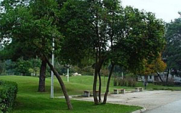 4 Θεματικά Επιχειρηματικά Πάρκα έρχονται στη Δυτική Μακεδονία 