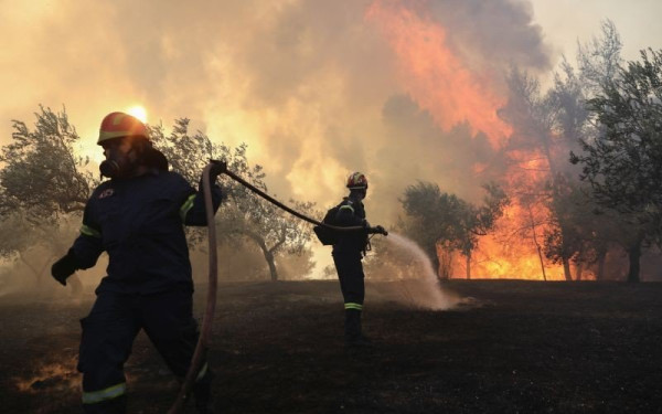Αναγκαίες δράσεις για τα δάση πριν τις νέες πυρκαγιές. Του Μιχάλη Γουδή
