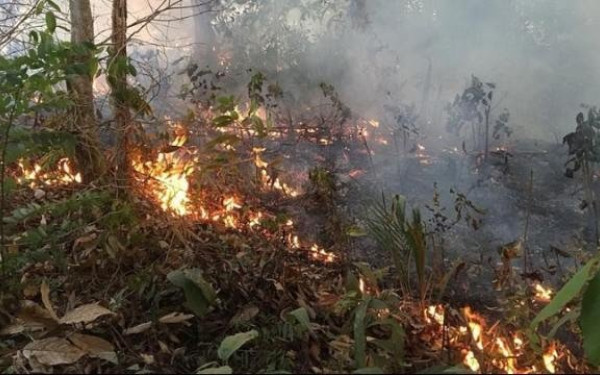 Αμαζόνιος: Ασφυκτιά από τις πυρκαγιές η Μανάους 