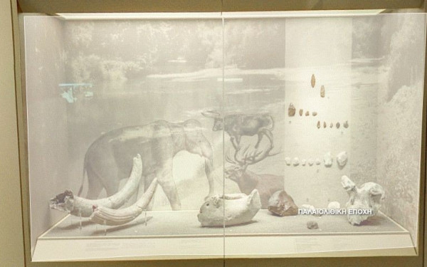 Λάρισα: Στον Πηνειό ζούσαν κάποτε ελέφαντες, ιπποπόταμοι και ρινόκεροι (Φωτ.)