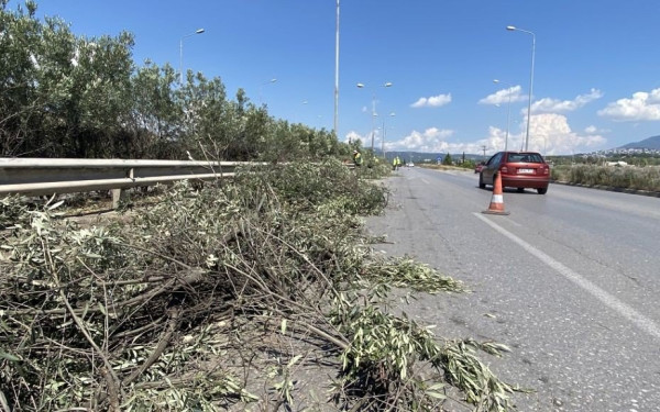 Εργασίες κοπής πρασίνου ξεκινούν σήμερα στην Περιφερειακή Οδό Θεσσαλονίκης