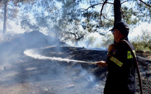 Φωτιά στον Ασπρόπυργο Αττικής - Χωρίς ενεργό μέτωπο οι πυρκαγιές σε Koρωπί και Αργολίδα (βίντεο)