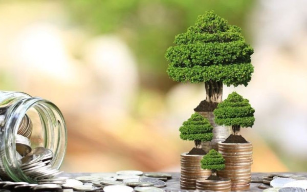 Γ. Ανδρουλάκης: Ευκαιρίες για τους ΟΤΑ από τα χρηματοδοτική προγράμματα του «Πράσινου Ταμείου»