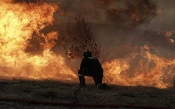 Κάηκε ολοσχερώς παράπηγμα πίσω από τον Κέδρινο Λόφο στο Σέιχ Σου