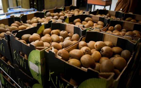 Άρχισαν έκτακτοι έλεγχοι σε όλη την αλυσίδα εμπορίας των ακτινιδίων