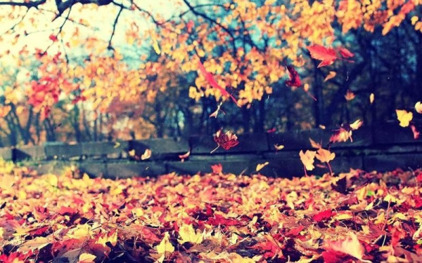 Θερμότερος του κανονικού αναμένεται και ο ερχόμενος Νοέμβριος - Η πρώτη εκτίμηση τού Κώστα Λαγουβάρδου