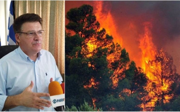 Δ. Πέτροβιτς:  Το δάσος της Δαδιάς δεν είχε καθαριστεί ποτέ