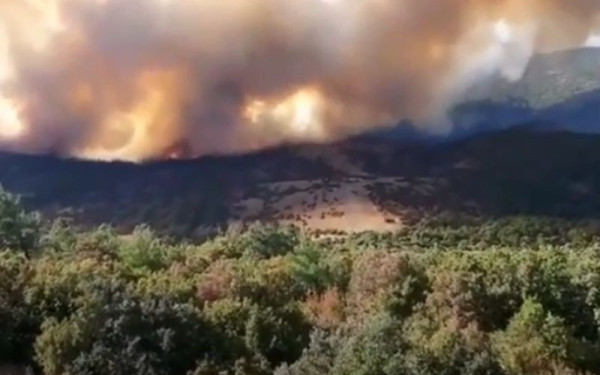 Εκδόθηκε η ΚΥΑ για την προκαταβολή 50% της κρατικής αρωγής για ζημιές σε φυτικό κεφάλαιο από τις πυρκαγιές του 2023
