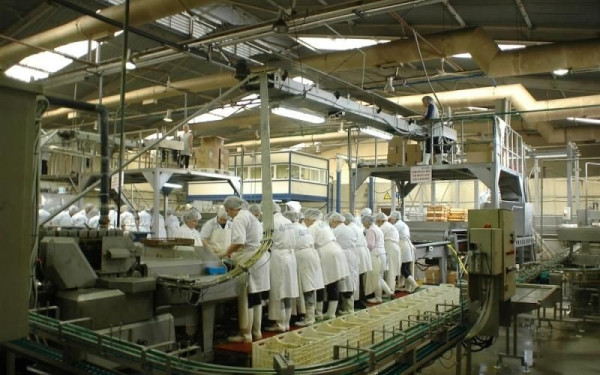 Πέλλα: Έκλεισε κονσερβοποιία στο Μαυροβούνι Σκύδρας - 114 κρούσματα κορονοϊού