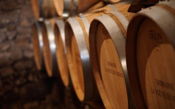 Θεσσαλονίκη: 25 οινοποιεία της Βόρειας Ελλάδας ανοίγουν τις πόρτες τους για το κοινό - Εκδηλώσεις και γευστικές δοκιμές