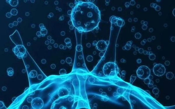 Τα εμβόλια κατά του κορονοϊού προσφέρουν προστασία και από τη νέα μετάλλαξη λέει λοιμωξιολόγος του Ινστιτούτου Ρόμπερτ Κοχ