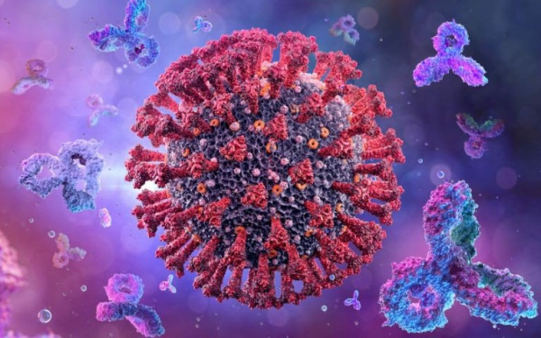 Έλληνας γιατρός της διασποράς βρήκε υπάρχον φάρμακο που προστατεύει ακόμη και από μελλοντικές μεταλλάξεις του κορονοϊού (φωτ.)