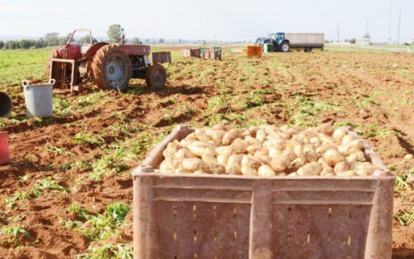 Η ευφυής γεωργία λαμβάνει «σάρκα και οστά» στη «Νάξο το έξυπνο νησί»