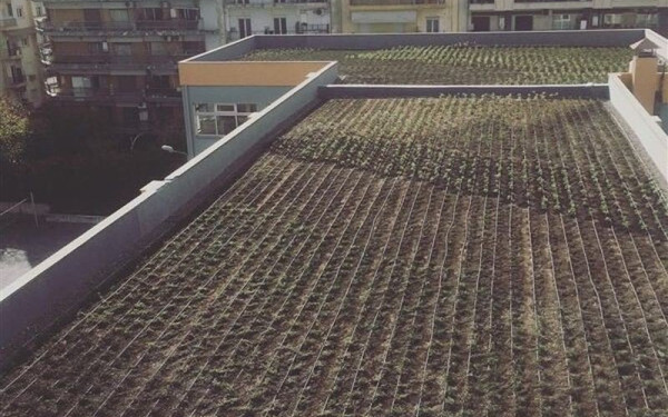 Ηράκλειο: Η στιγμή που η Πυροσβεστική κατεβάζει το διαρρήκτη από την ταράτσα (βίντεο)