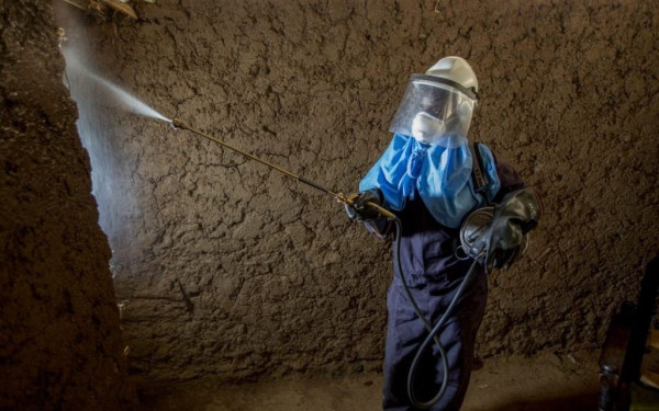 Mε αύξηση κρουσμάτων των ασθενειών που μεταδίδονται μέσω κουνουπιών «απειλεί» η κλιματική αλλαγή