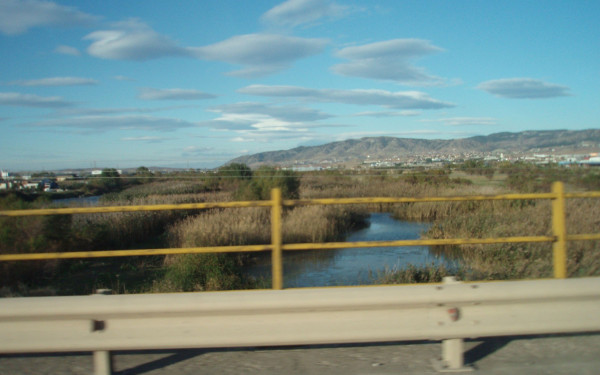 Θεσσαλονίκη: Εθελοντικός καθαρισμός στο παράκτιο τμήμα του Γαλλικού ποταμού