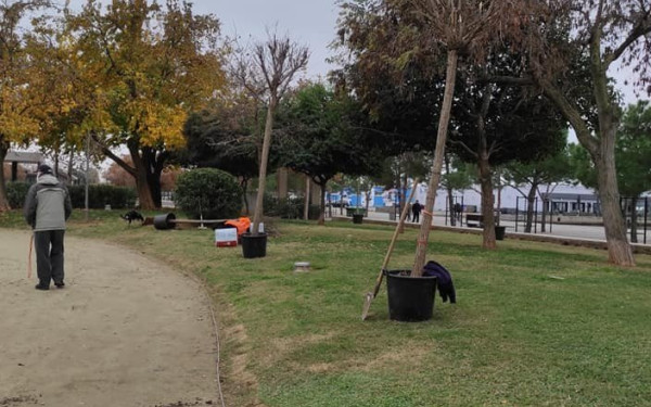 Εξήντα νέα δέντρα φυτεύονται στον Κήπο της Μεσογείου στην Νέα Παραλία (Φωτ.)