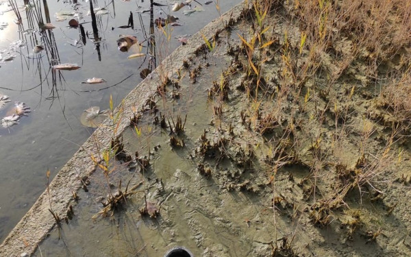 Σε 10 ημέρες έρχεται... καινούργιος Κήπος του Νερού στην παραλία Θεσσαλονίκης (βίντεο & φωτ.)
