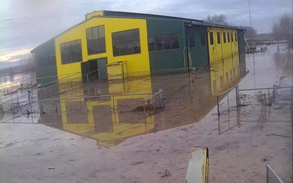 Σέρρες: Τόνοι λάσπης και τεράστιες καταστροφές στα κτήρια του Κέντρου Θεραπευτικής Ιππασίας