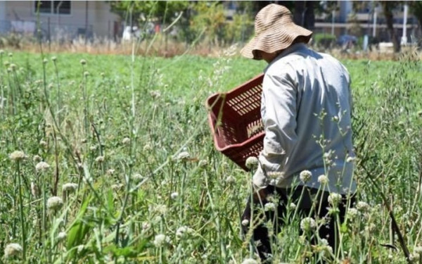 Σε δημόσια διαβούλευση η νέα πρόσκληση για το πρόγραμμα των Νέων Αγροτών