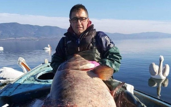 Έπιασαν ψάρι-γίγαντα 85 κιλών στη λίμνη Βόλβη (Φωτ.)