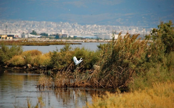Ο χρόνος μετράει αντίστροφα για το Δέλτα Αξιού-Λήγει το καθεστώς προστασίας