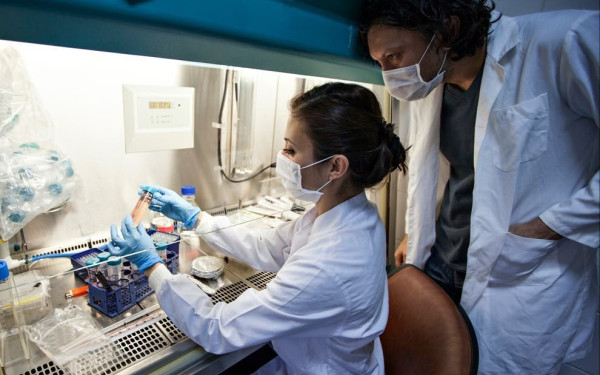 Ελπιδοφόρα νέα για τη θεραπεία του ιού HIV - Θεραπεύτηκε με μεταμόσχευση ακόμη ένας άνθρωπος