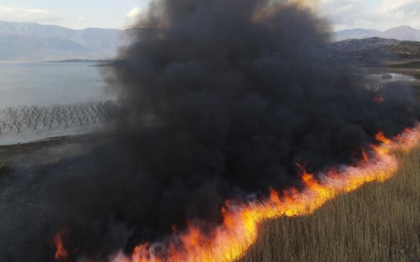 Κύπρος: Η Πυροσβεστική σε ετοιμότητα λόγω νέου μετώπου φωτιάς 